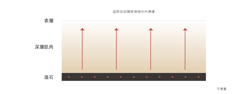 溫熱由溫石接觸面向深層肌肉傳導的示意圖